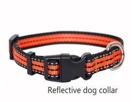 00204 Reflective dog collar