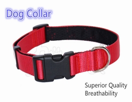 00101 Nylon dog collar