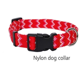 00244 New design pet dog collar