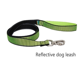 00275 New style fashion dog leash