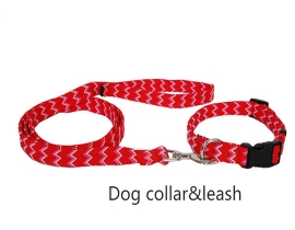 00248 New design pet dog leash
