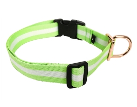 French Style Dog Collar_Green