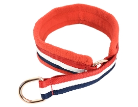 Fleece Lined Dog Collar_Red&Blue