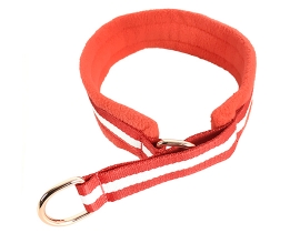 Fleece Lined Dog Collar_Red