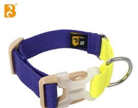 2023 Contrast Color Polyester Webbing Pet Collar Dog Collar for Small Medium Large Dog