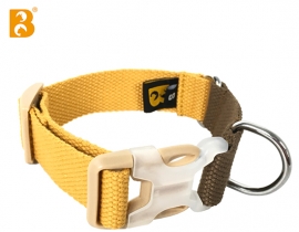 2023 High Quality New Arrival Contrast Color Dog Collar