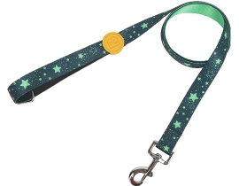 Hot Sale New Star Printing Cute Blue-Geen Polyester Dog Leash