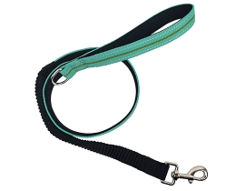 Buffer Reflective Dog Leash Polyester Dog Leash Matching Dog Collar